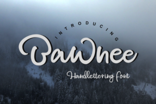 Bawnee: A Font That Elevates Your Brand