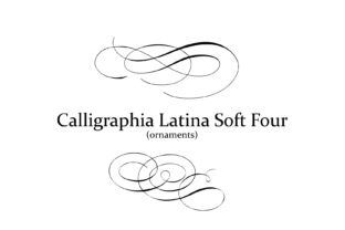 Calligraphia Latina Soft 4: Elegant Font for Business Branding