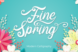 Fine Spring: A Font for Business Beauty