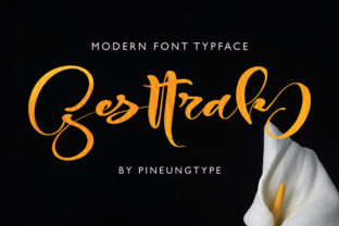 Gesttrak: A Stylish Handwritten Font