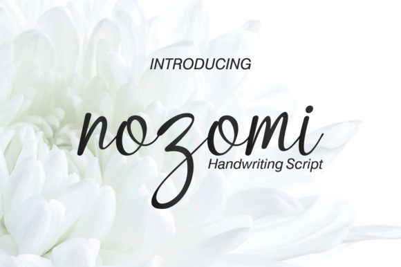 Nozomi: A Friendly Font for Business