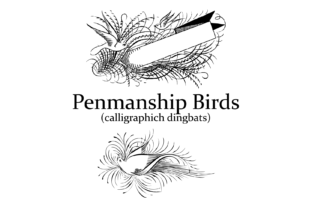 Penmanship Birds Review